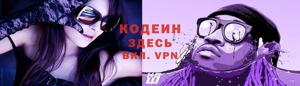 крисы Абаза