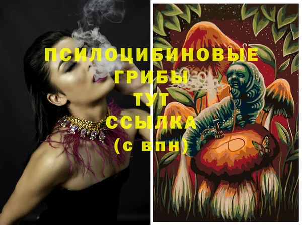гидропоника Алзамай